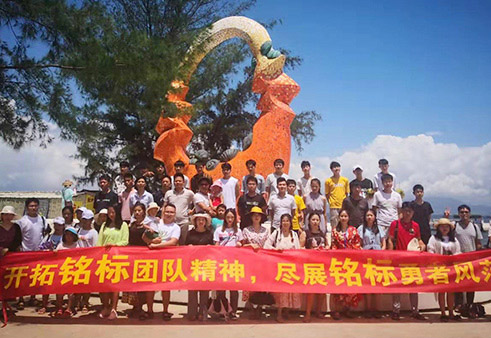 团队活动