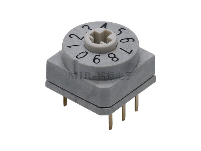 RH3-10g